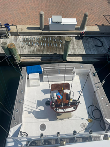 Morehead City: Where anglers thrive! 
